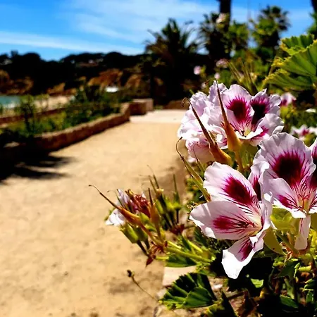 Апартаменти Sao Rafael Golden Pearl Haven