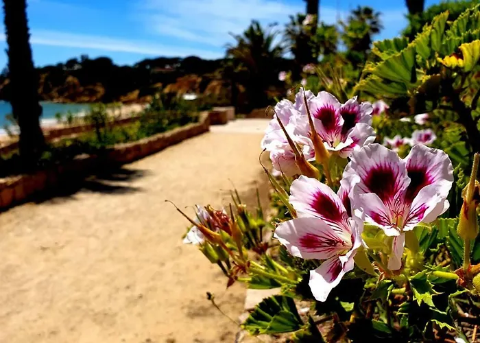 Apartamento Sao Rafael Golden Pearl Haven