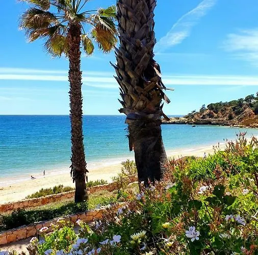 Apartamento Sao Rafael Golden Pearl Haven